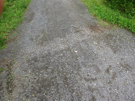 Compacted gravel with a dip across the path - there are several on the trails